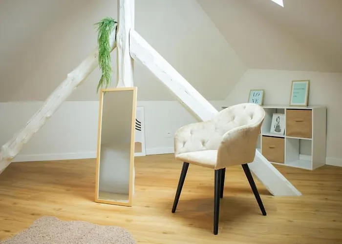 Le Douillet : Duplex Elegant En Centre Ville