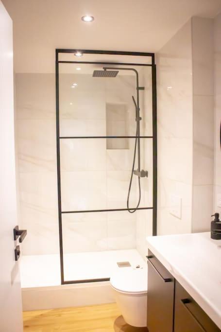 Le Douillet : Duplex Elegant En Centre Albertville