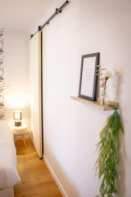 Le Douillet : Duplex Elegant En Centre Apartment