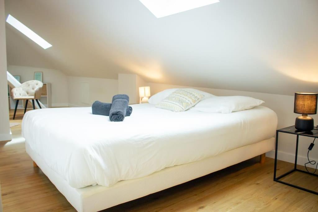 Le Douillet : Duplex Elegant En Centre Apartment